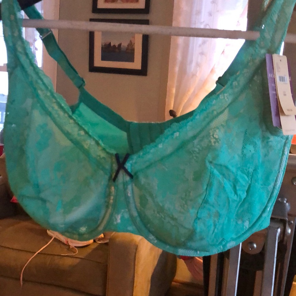 Cacique bra 38h
